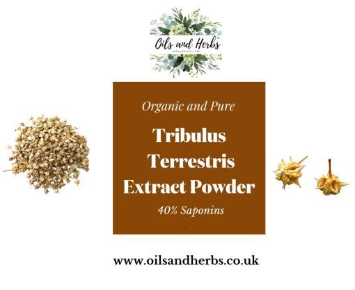 Organic Tribulus Terrestris Extract Powder