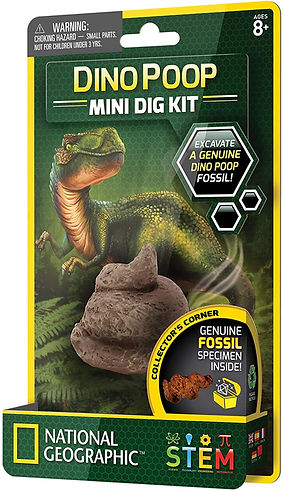 National Geographic Dino Poop Mini Dig Kit